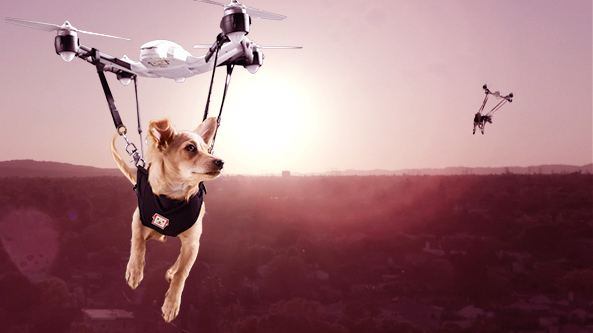 Comprar cães pela internet e recebê-los por drone, é &#8220;possível&#8221;