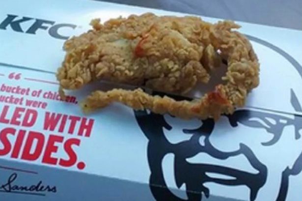 Teste confirma que o rato frito da KFC era, afinal, frango