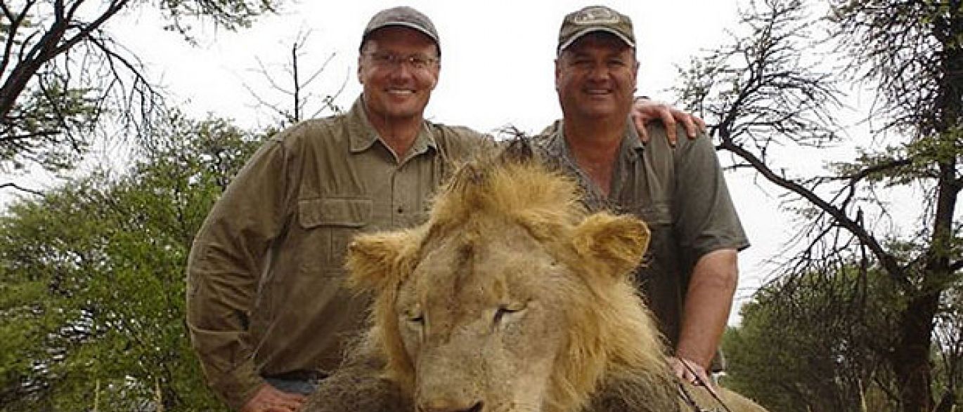 Homem que matou o leão Cecil foi identificado