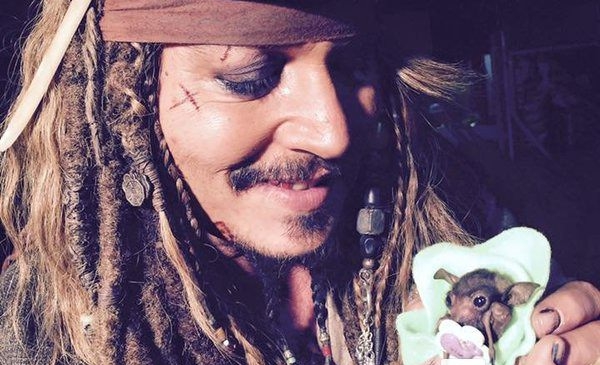 Johnny Depp dá biberon a morcego bebé que adotou
