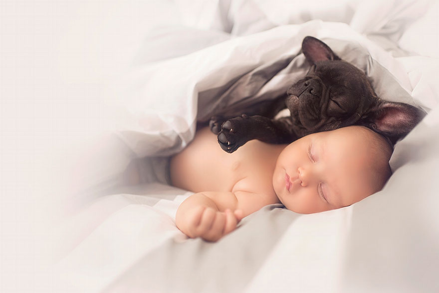Bebé e bulldog: nasceram no mesmo dia e fazem tudo juntos