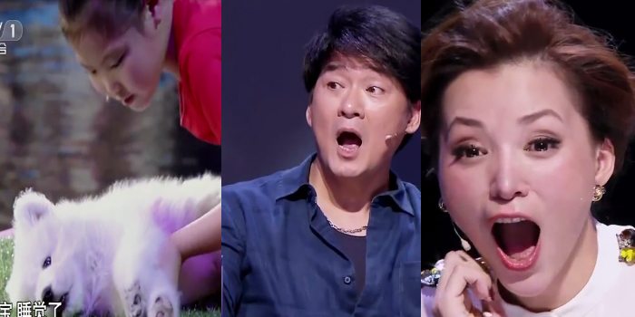 Menina chinesa hipnotiza 5 animais em menos de 4 minutos