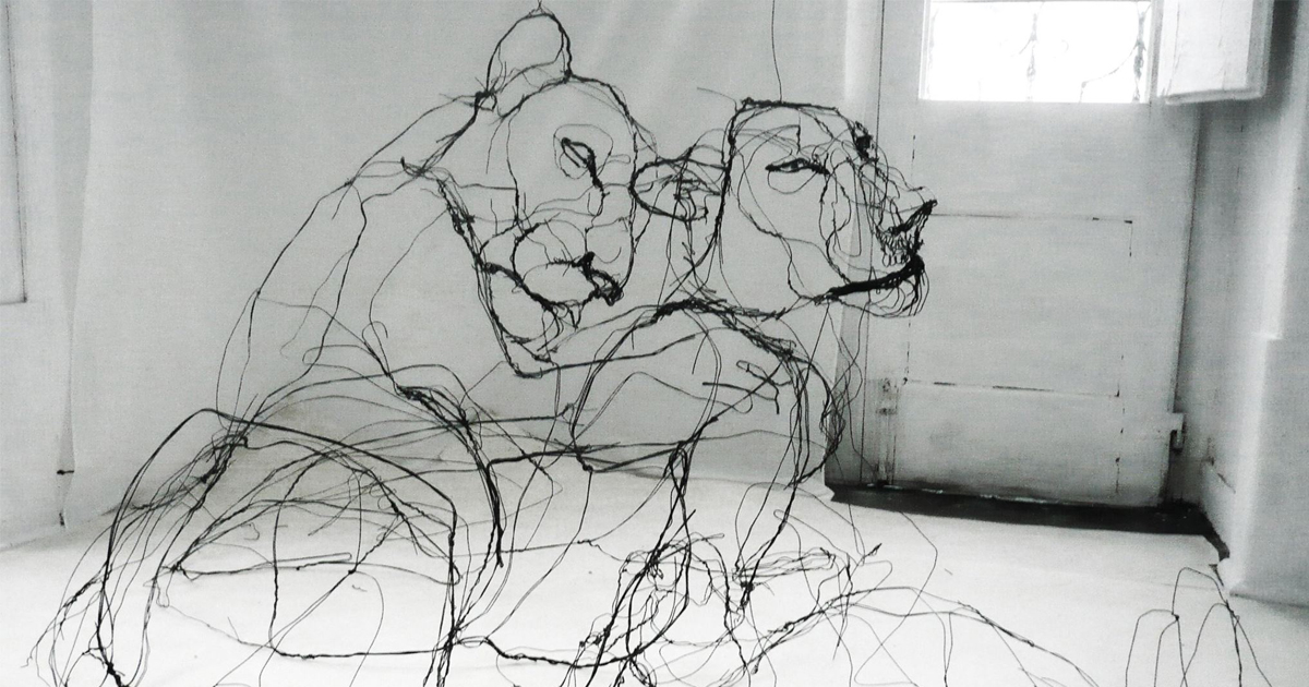Artista português faz esculturas de animais em arame que mais parecem desenhos