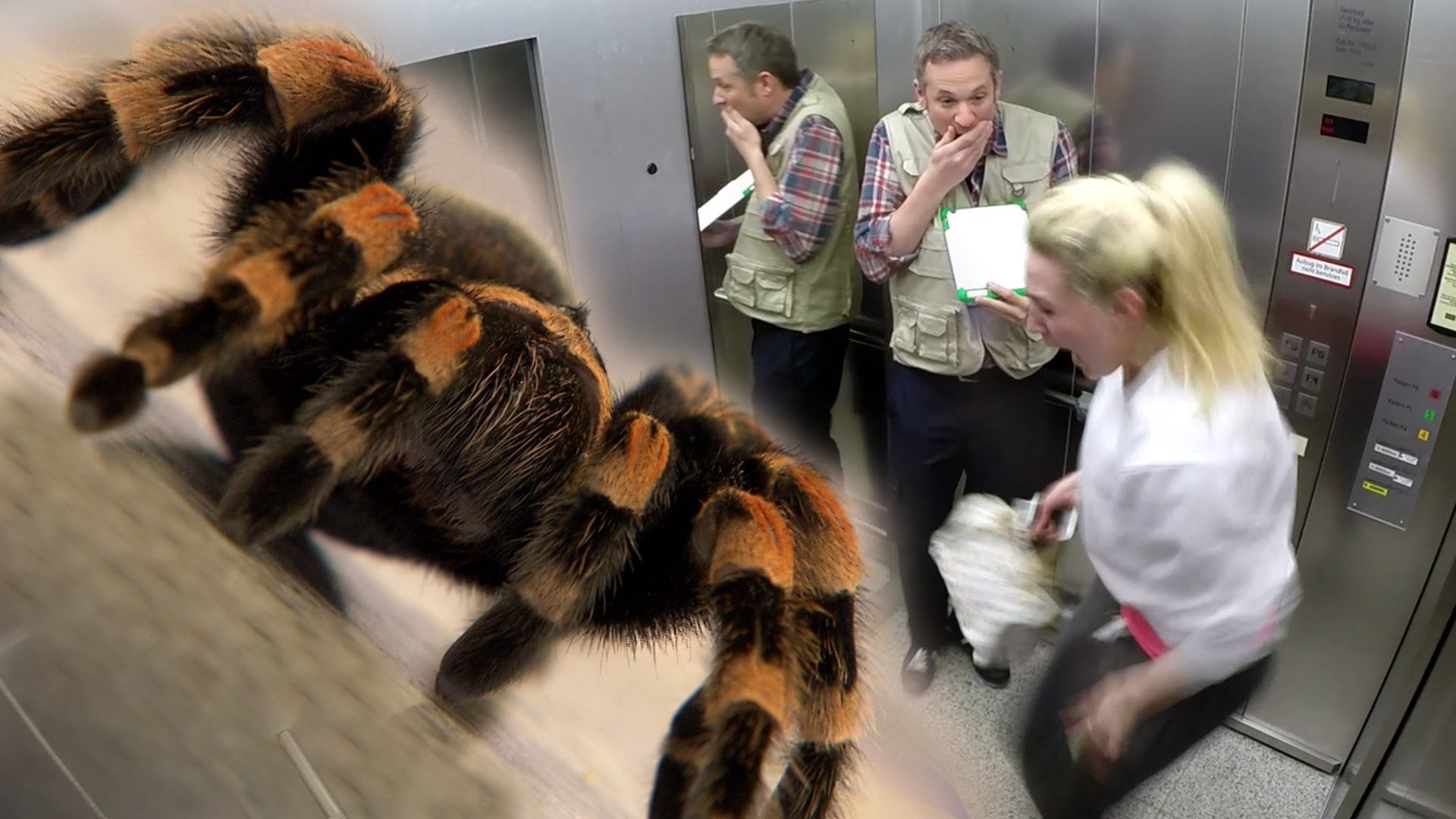 Partida no elevador com aranha e iPad dá este vídeo épico