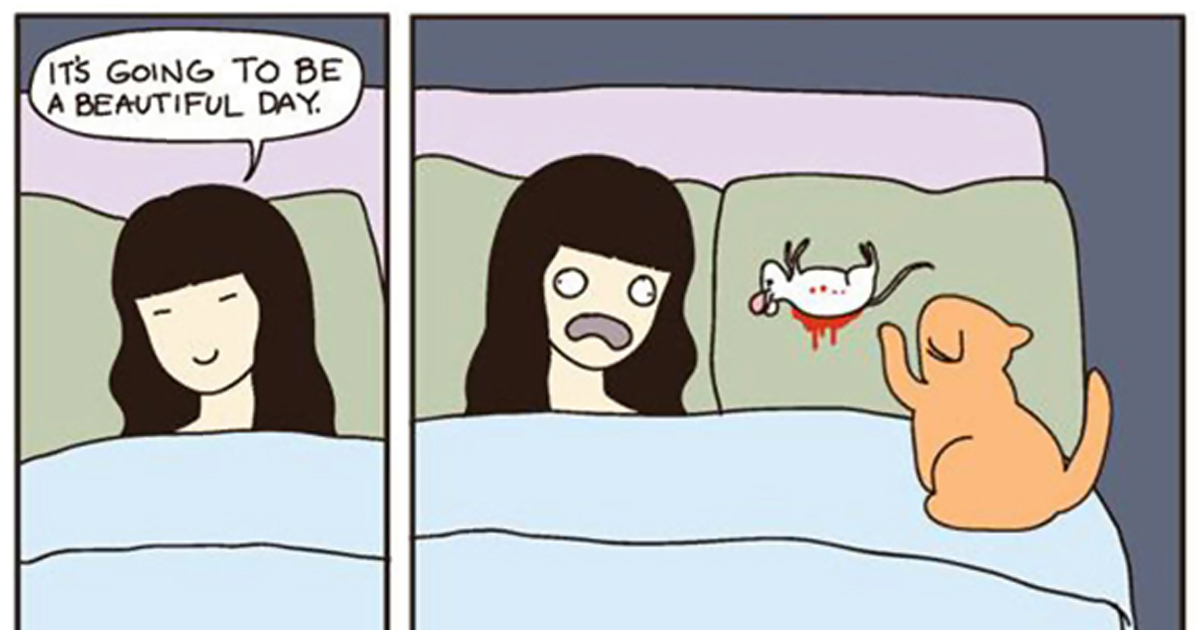 Ilustrações cómicas retratam o que é viver com gatos em casa
