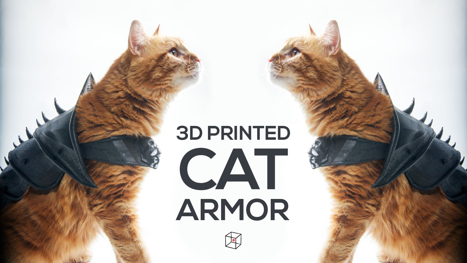 Uma armadura para o teu gato feita em impressora 3D