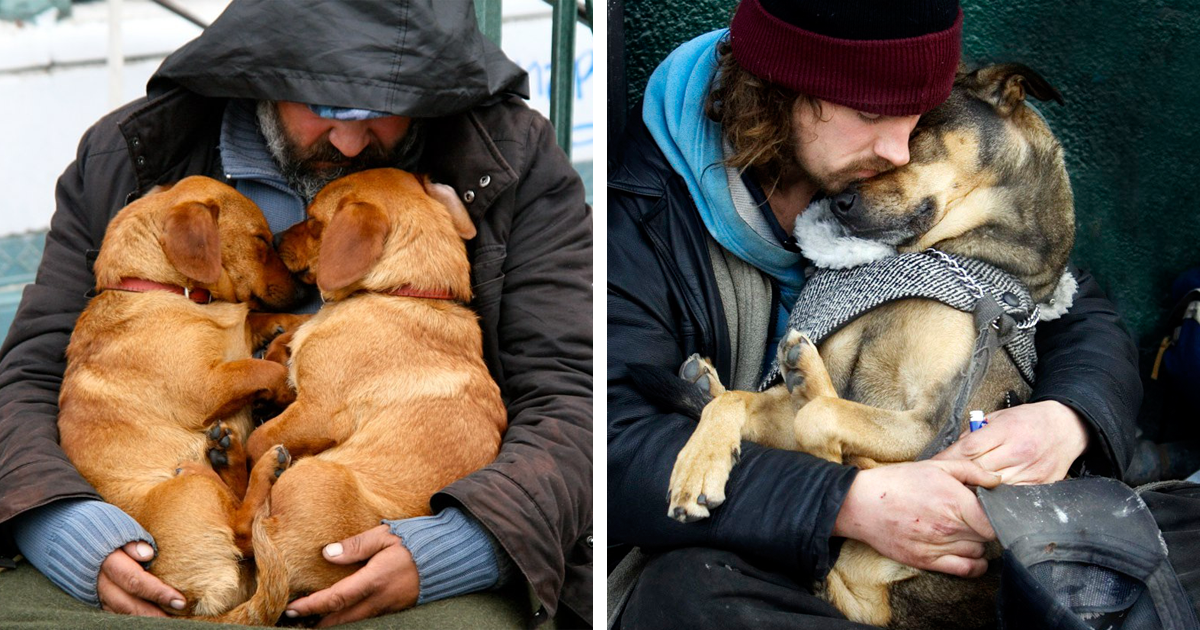 10 fotos que provam o amor incondicional dos cães para com os sem-abrigo