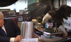 Donald Trump atacado por águia chamada &#8220;Uncle Sam&#8221; em sessão fotográfica