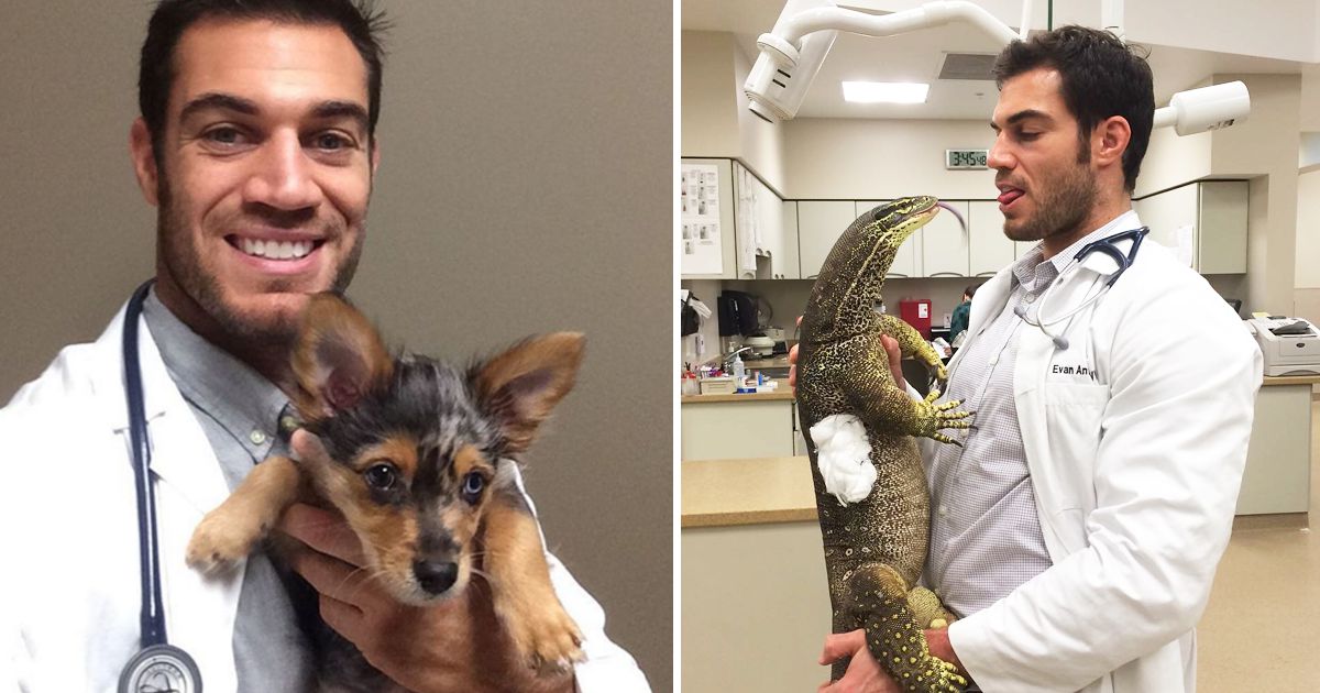 Evan Antin, é o veterinário mais sexy do Instagram