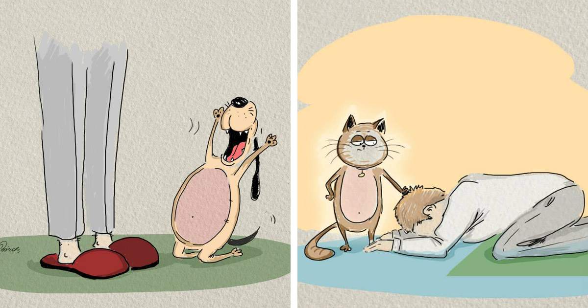 As diferenças entre cães e gatos, em 6 brilhantes ilustrações