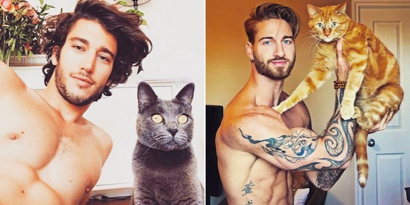 10 homens com gatos, que derretem o Instagram