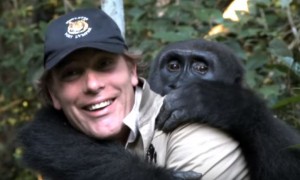 O reencontro de um homem com o gorila que libertou passados 5 anos
