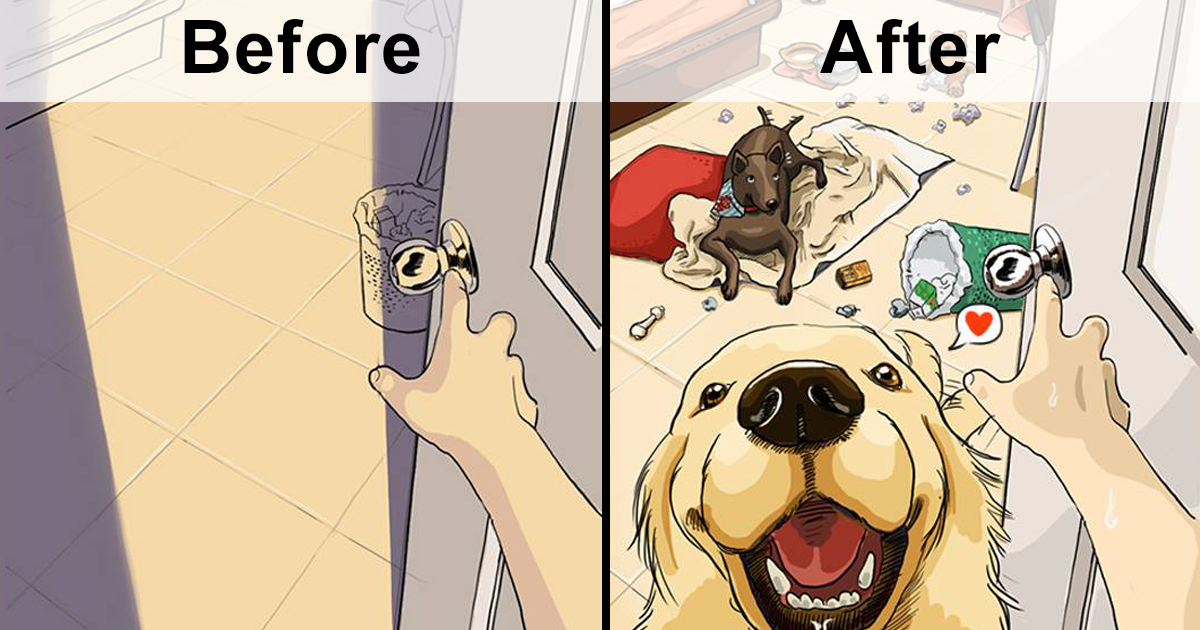9 Ilustrações mostram a vida antes e depois de ter um cão