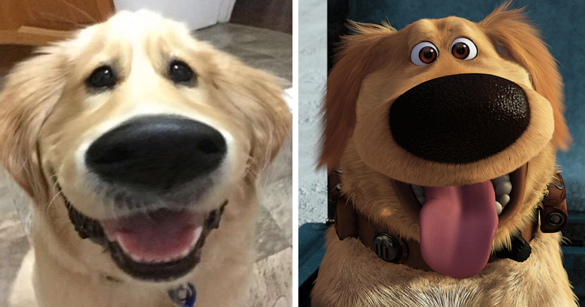 Filtro de Snapchat transforma o teu cão no Dug, do filme Up Altamente