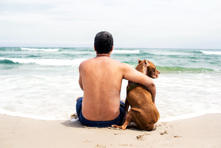 Casal tira férias para passear com o cão, com um cancro terminal