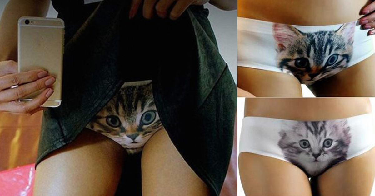 As cuecas ideais para quem gosta de gatos, estão a conquistar a internet