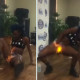 Dançarina incendeia-se acidentalmente durante performance