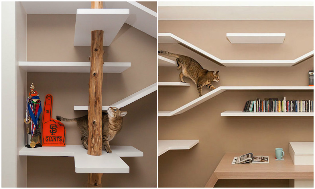 Esta estante é perfeita para livros, e gatos