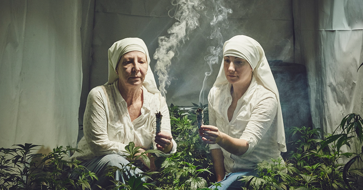 Freiras que cultivam marijuana captadas em série fotográfica