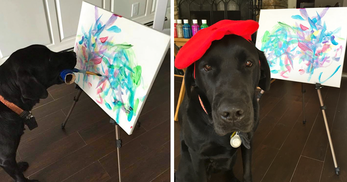 DogVinci, o cão que pinta quadros, e vende a sua arte por bom dinheiro