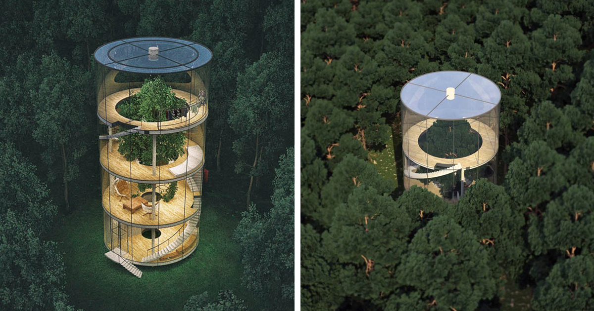 A espectacular casa tubular de vidro, construída à volta de uma árvore