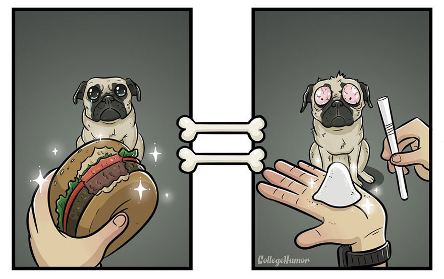 Como os cães vêem o nosso mundo, em 7 divertidas ilustrações