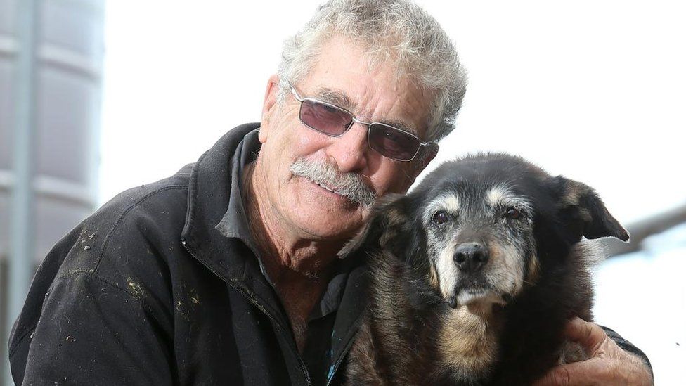 Maggie, a cadela mais velha do mundo, morreu aos 30 anos de idade