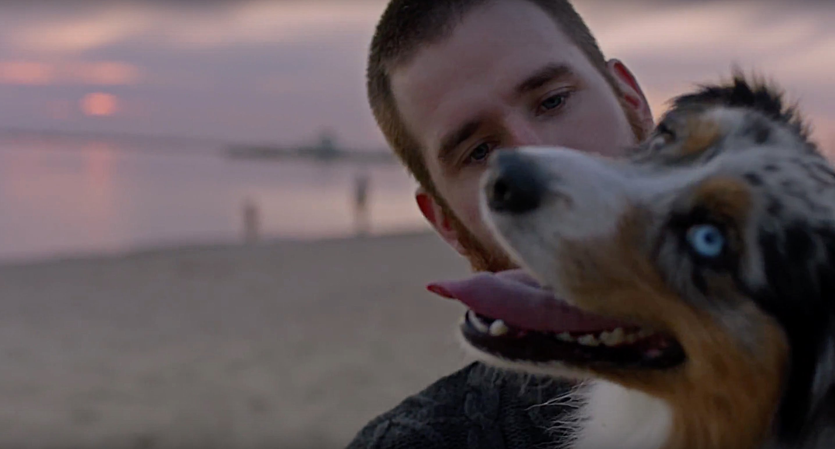 Este vídeo prova que os cães nos ajudam a combater a depressão e a ansiedade