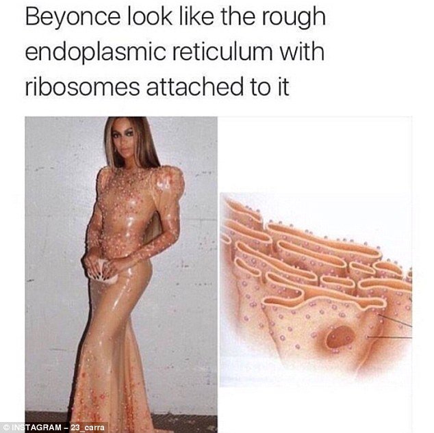 33C677E700000578-3570821-Biology_lesson_One_user_couldn_t_help_but_notice_Beyonce_s_peach-a-156_1462267425244