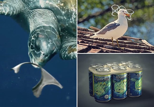 Marca de cerveja cria embalagem que alimenta animais marinhos, em vez de os matar