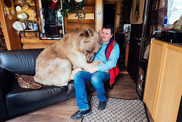 A vida de uma família russa que vive com um urso há 23 anos