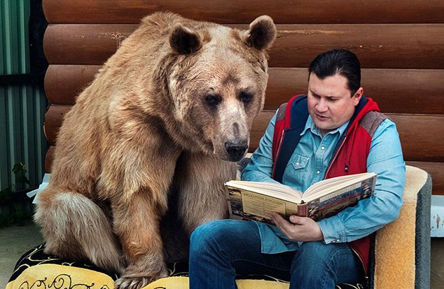 A vida de uma família russa que vive com um urso há 23 anos