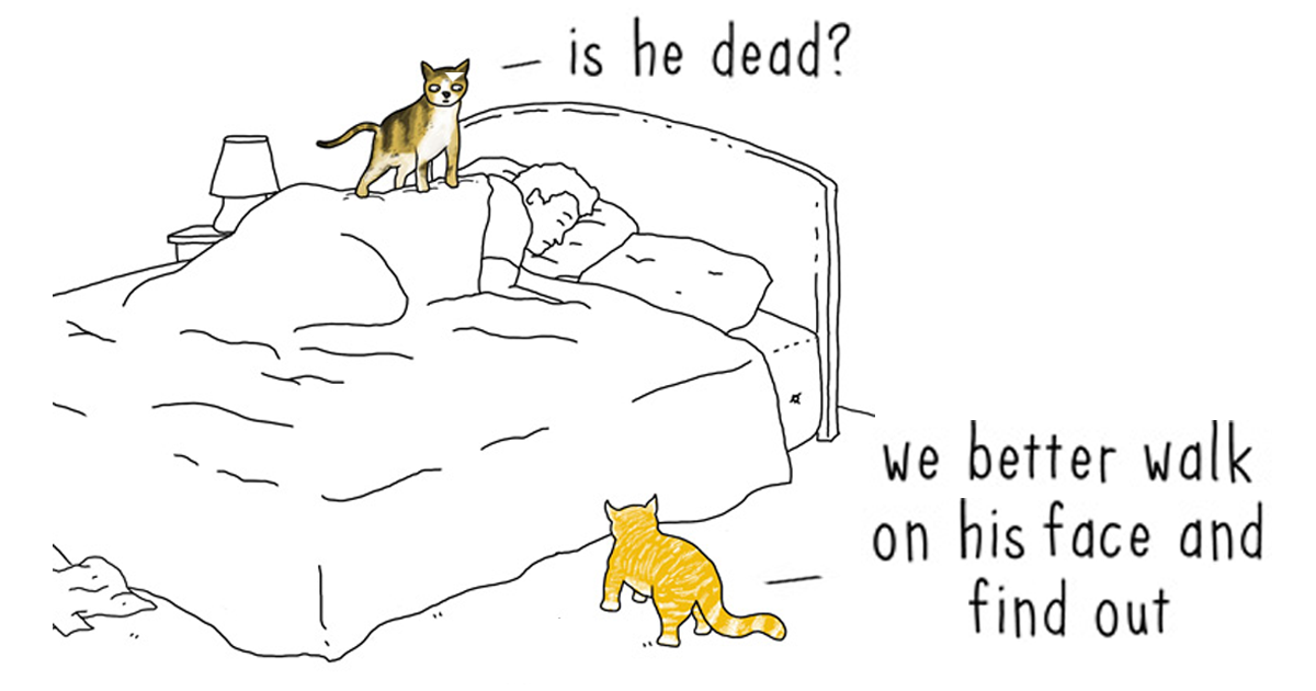 Se os animais pudessem falar, em 10 ilustrações divertidas