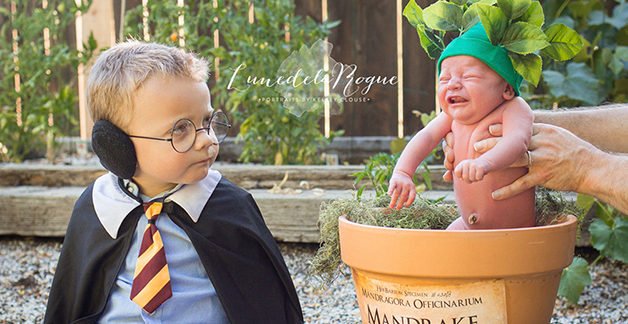 Inspirados em Harry Potter, pais fazem sessão fotográfica mágica aos filhos