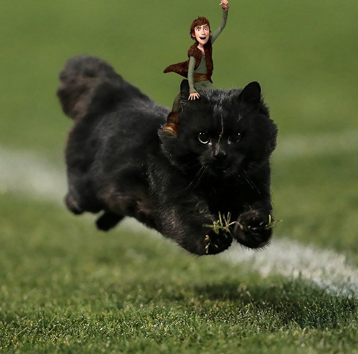 Gato voador interrompe jogo de Rugby. A internet respondeu assim