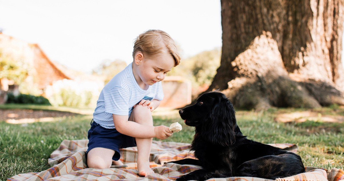 As fotos do 3º aniversário do Príncipe George estão a derreter a internet