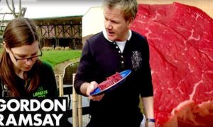 Gordon Ramsay tenta convencer vegetariana a comer um bife