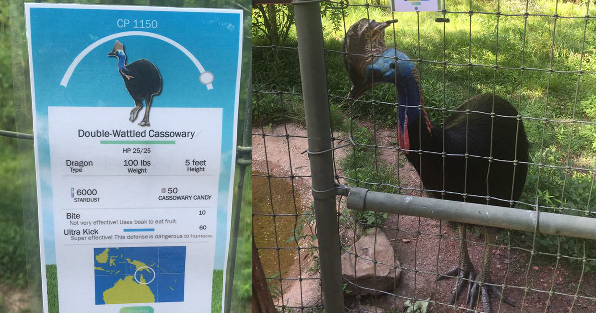 Jardim Zoológico colocou sinais de Pokemon Go nos animais, para ganhar a atenção dos visitantes