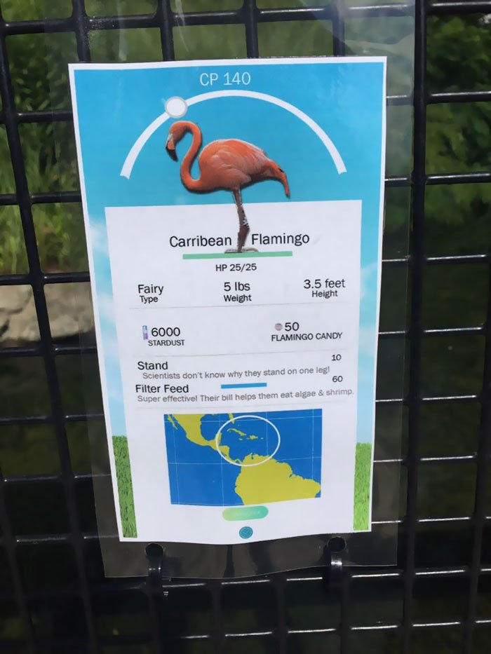 Jardim Zoológico colocou sinais de Pokemon Go nos animais, para ganhar a atenção dos visitantes