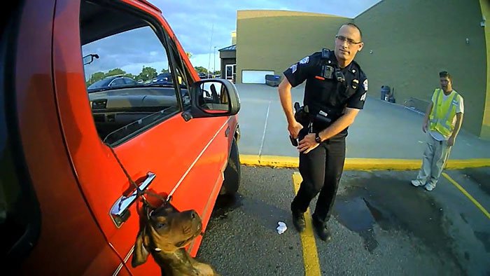 Polícia salva cão, quase a sufocar, preso pela coleira num carro