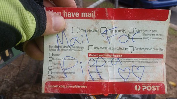 Cadela gosta tanto de receber o correio, que até o carteiro lhe escreve cartas, quando não há correio