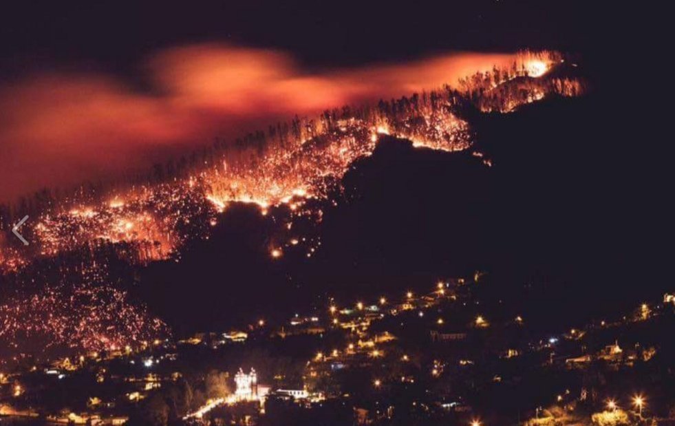 As impressionantes imagens dos incêndios no Funchal invadem as redes sociais