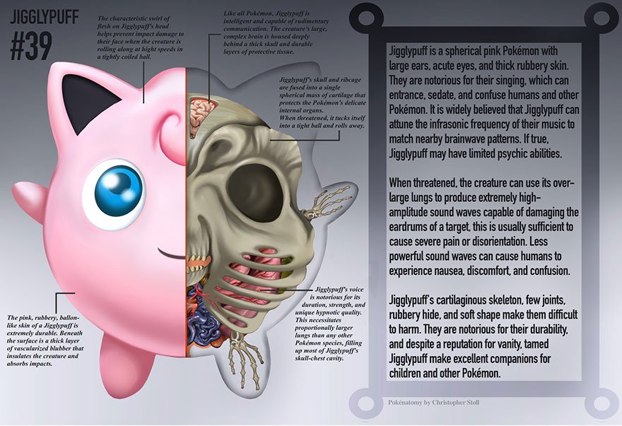 Pokenatomy: ilustrador mostra como são os Pokémons por dentro