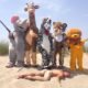 Safari Humano: o novo vídeo de Rémi Gaillard