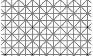Há 12 pontos negros nesta imagem. Porque razão não é possível ver todos?
