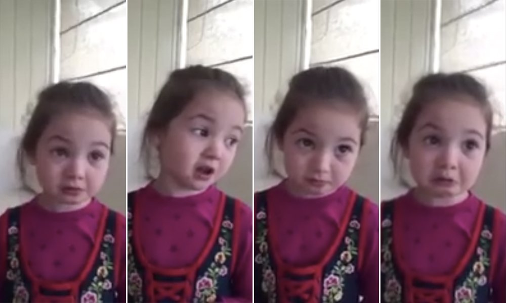 Menina explica porque não quer comer animais, e o video viraliza