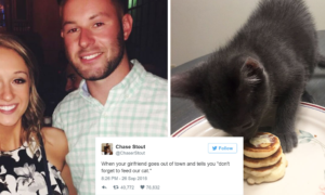 A internet rendeu-se às mini-panquecas que ele fez para o gato da namorada