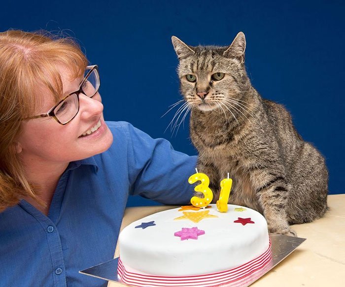 Gato mais velho do mundo fez 31 anos, e celebrou em grande estilo