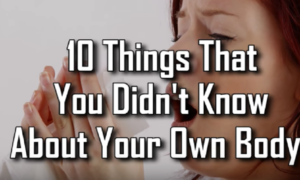 10 coisas que não sabes sobre o teu corpo