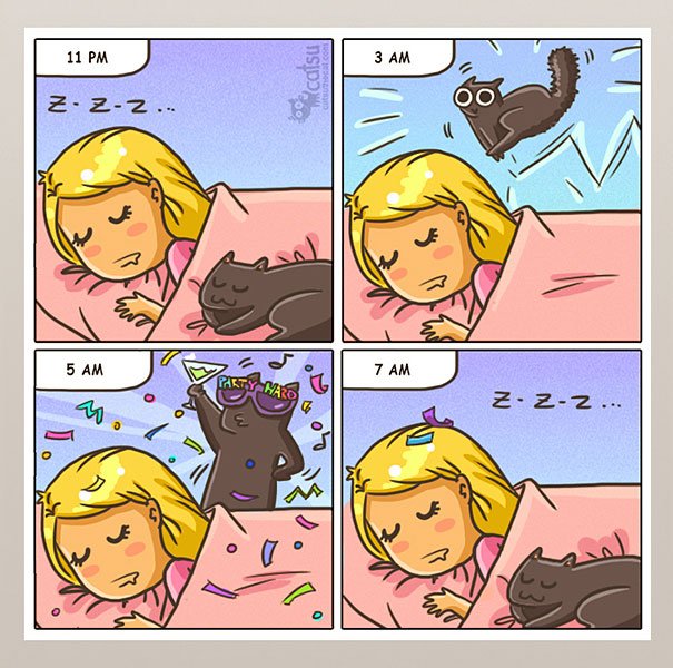 15 ilustrações que mostram o que é viver com um gato
